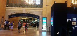  A New York-i Grand Central Terminál Vanderbilt Csarnokában egy hónapig tekinthető meg a “Brooks Brothers : 200 éves amerikai stílus” című kiállítás, ahol a kiállítás rendezői a márka az elmúlt két évszázadi történelmi archívumából válogattak érdekes darabokat. A nézelődők érdekes képet kaphatnak a férfi és a női divat elmúlt kétszáz évének történetéről.